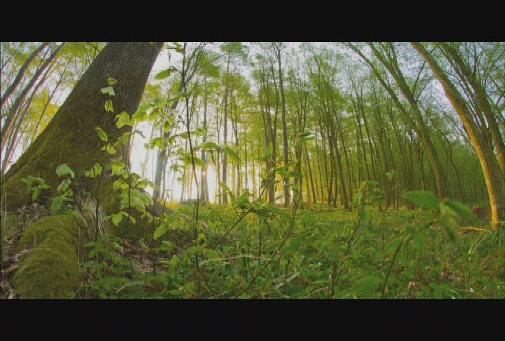 Music and the Spoken Word #4416