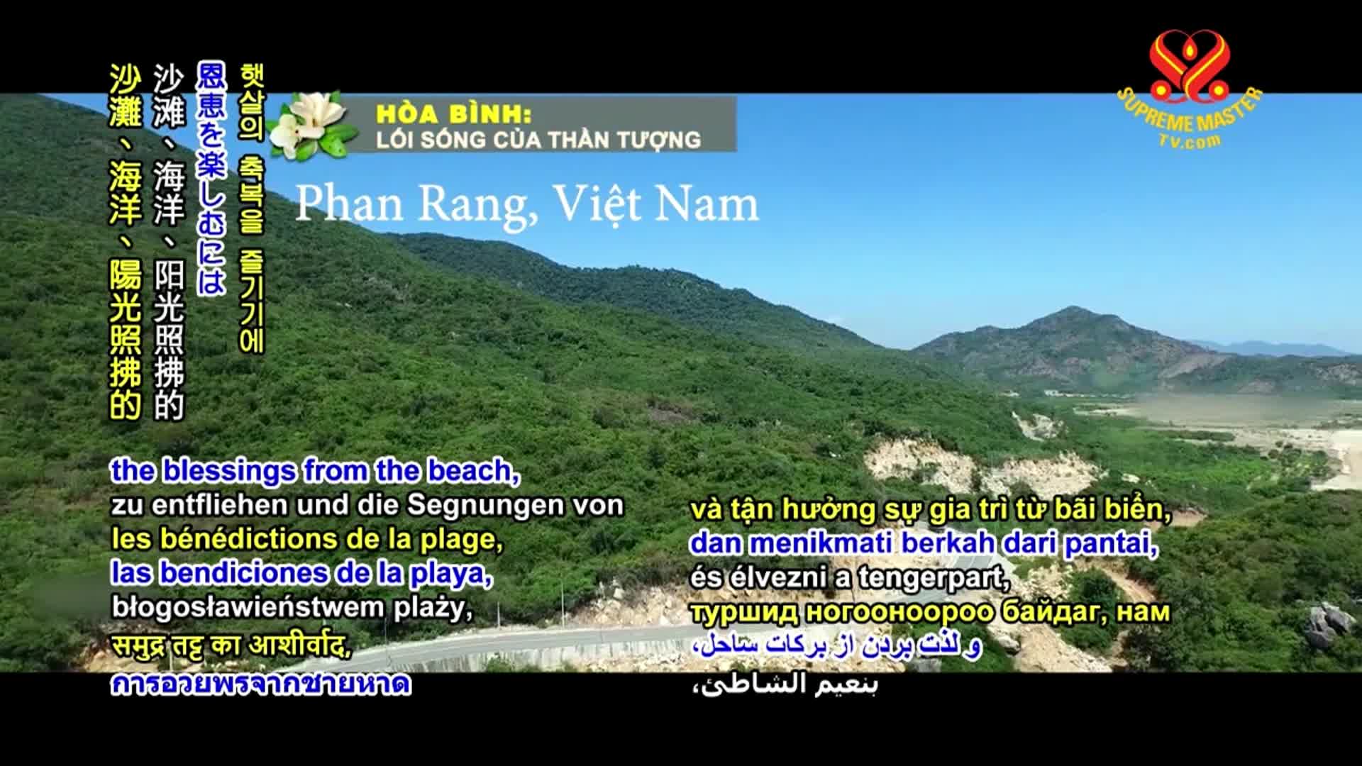 Thumbnail image for Vegan Cooking Show: "Potatoes With Vegan Sausages"