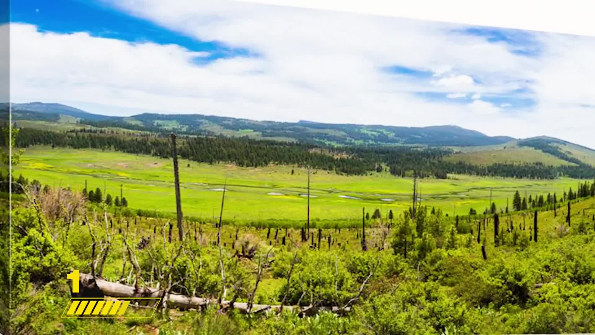 Thumbnail image for Empty Northern California