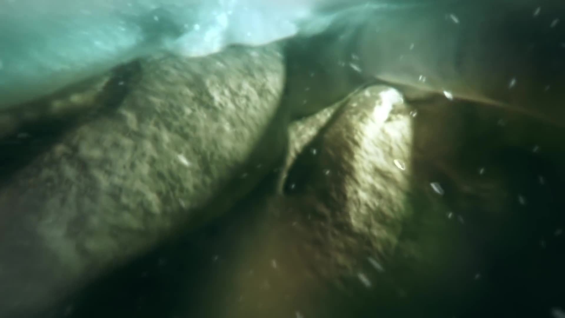 2077 - 10 Seconds To The Future: "Mutation"