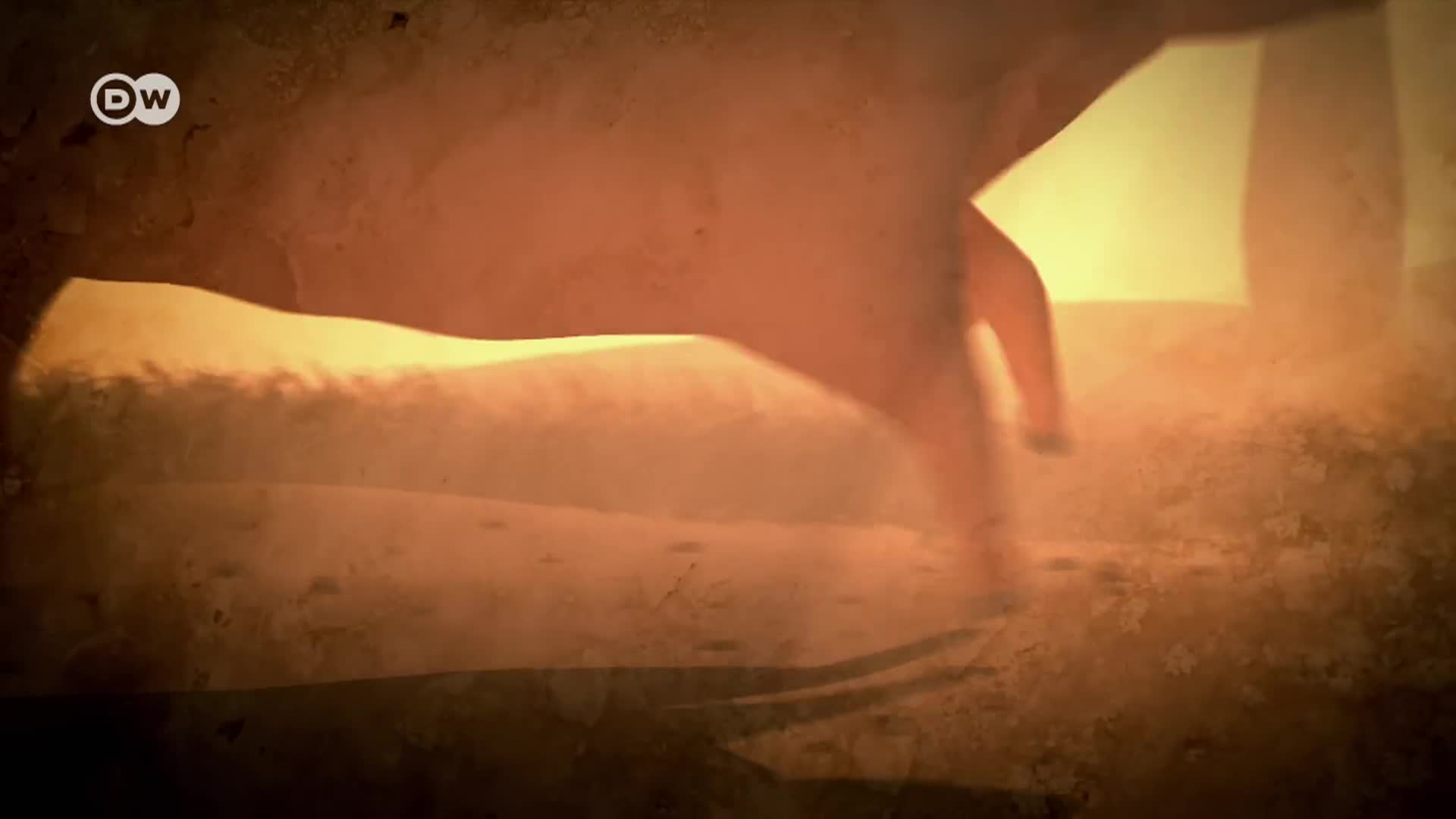 Thumbnail image for DW - DocFilm: "Secrets Of The Stone Age, Pt. 1"