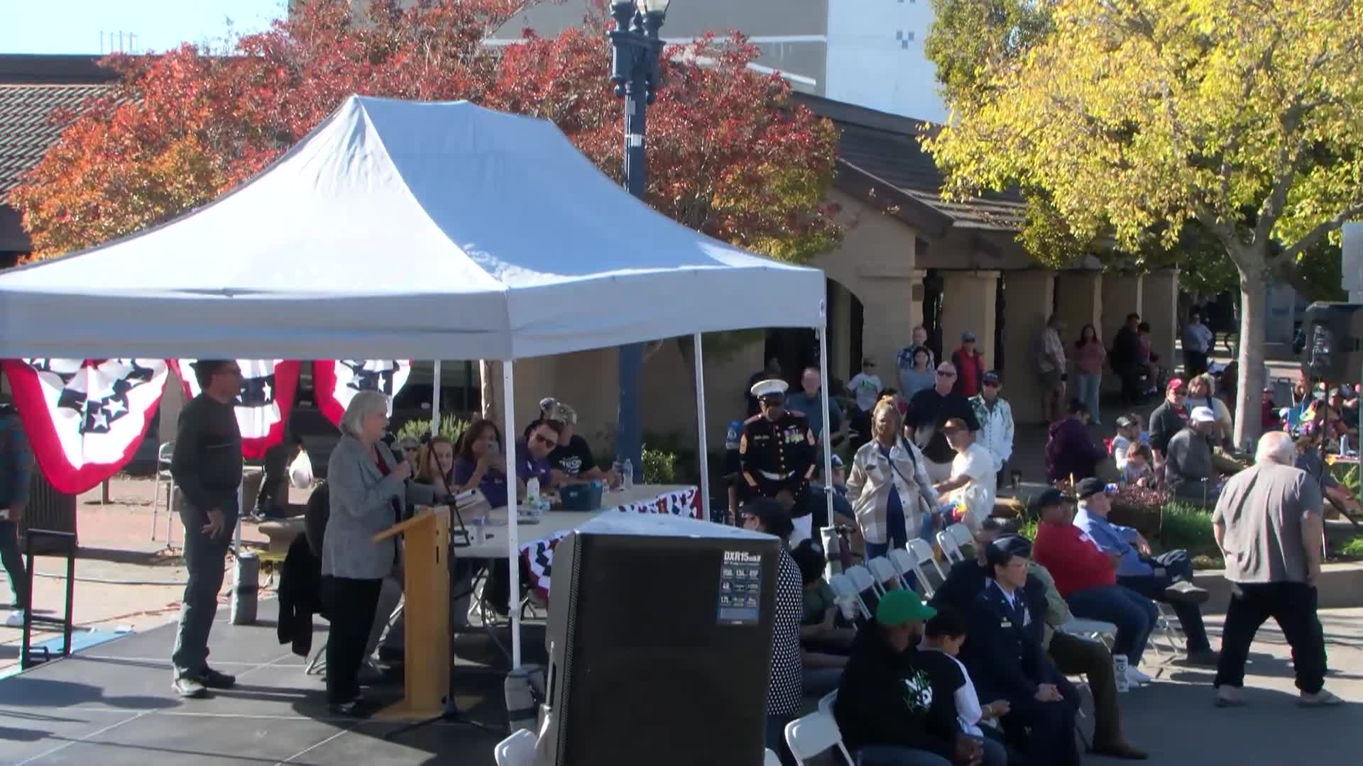 Access PotPourri: "The 2023 Fairfield Annual Veterans Day Parade"
