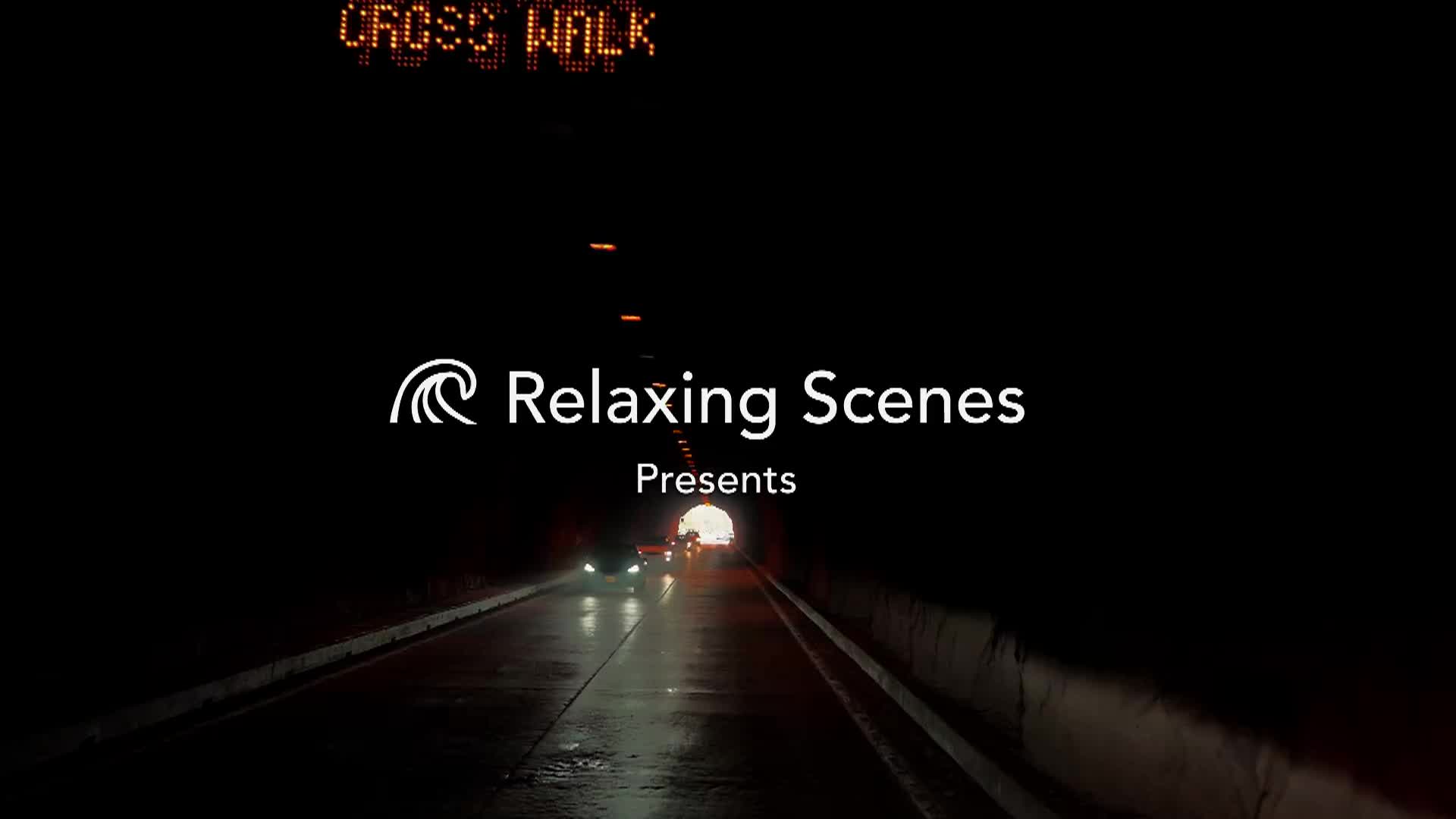 A Driving Tour Of Yosemite National Park